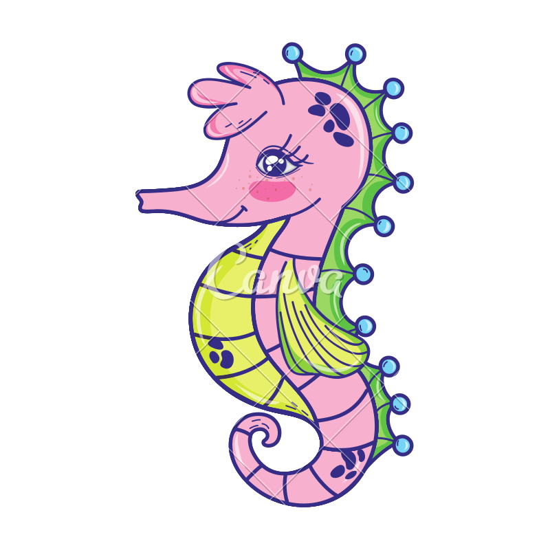 800x800 Drawing Seahorse Cute Cartoon Transparent Png Clipart Free