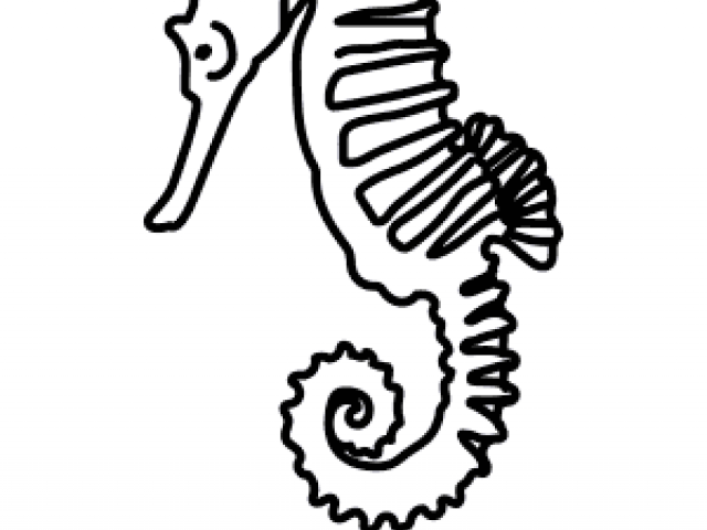640x480 Easy Seahorse Drawings