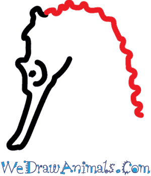 300x350 How To Draw A Seahorse