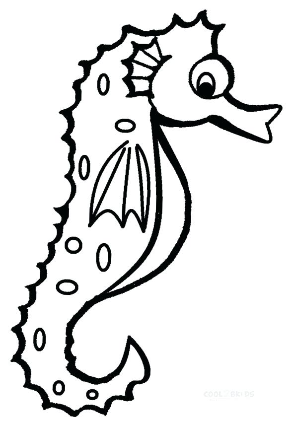 590x850 seahorse coloring pictures coloring seahorse drawn seahorse cute