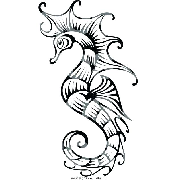 618x630 Outline Of Seahorse