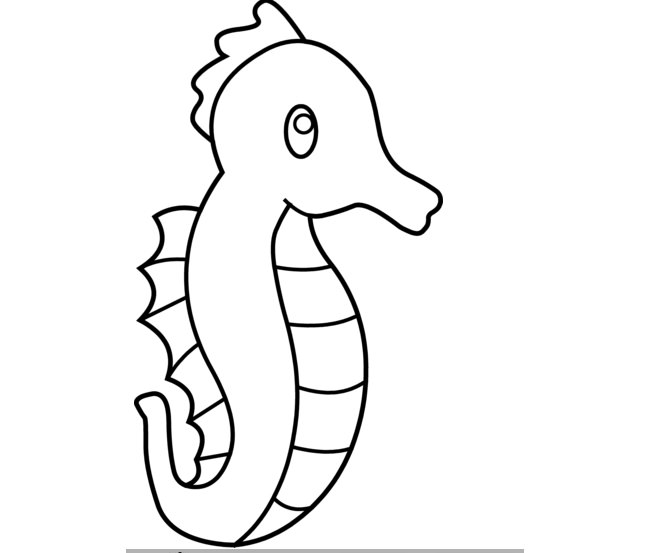 Seahorse Drawing For Kids