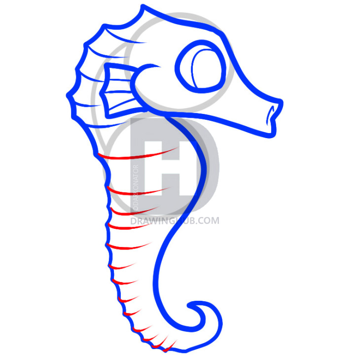 720x720 How To Draw A Seahorse For Kids, Step