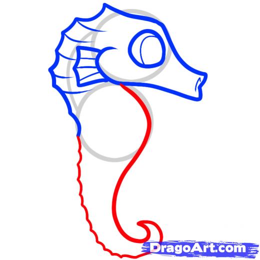 520x520 Step How To Draw A Seahorse For Kids