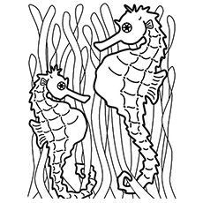 230x230 Top Free Printable Seahorse Coloring Pages Online