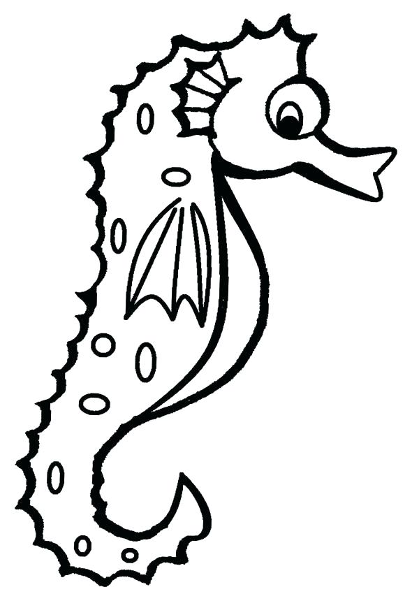 590x850 Cartoon Seahorse Coloring Pages Free Seahorse Coloring Pages