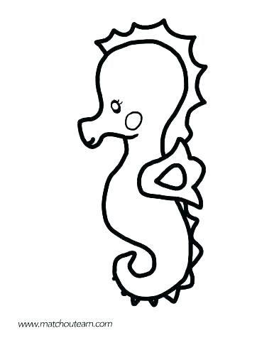 362x500 Coloring Book And Pages Seahorse