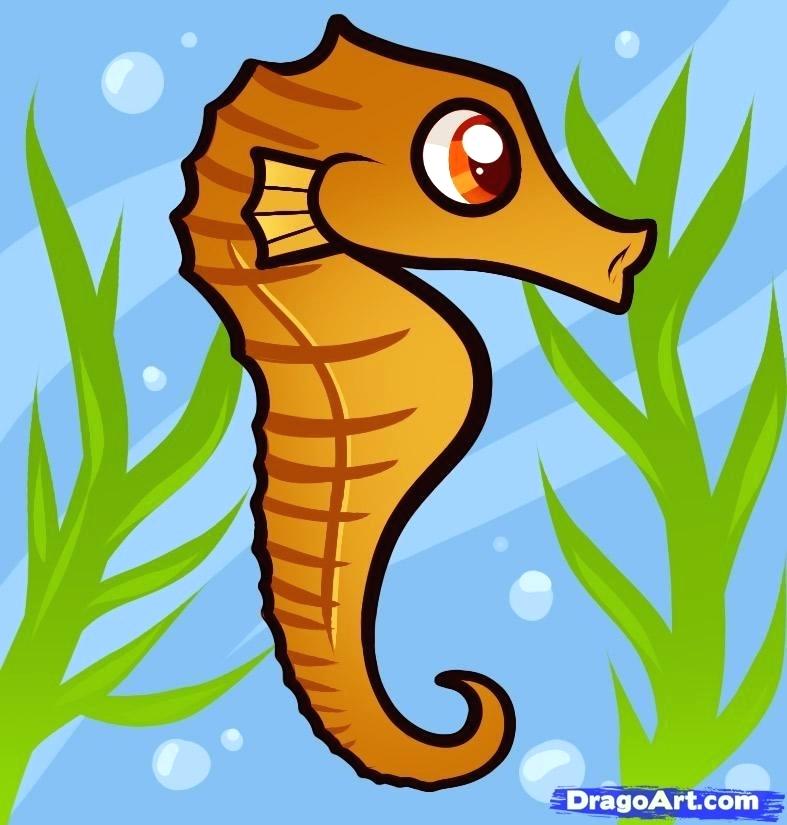 787x825 drawings of seahorses how to draw a seahorse for kids how to draw