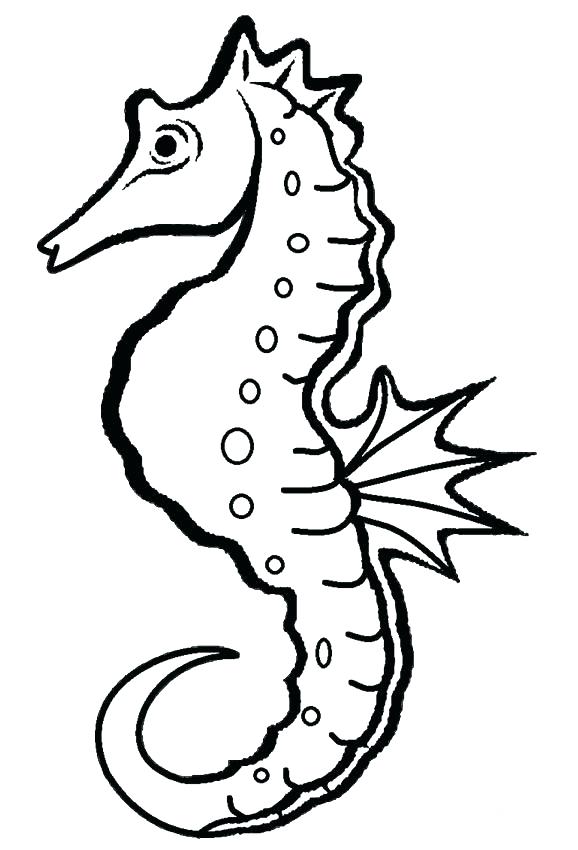 578x850 Free Color Pages Seahorse Related Post Coloring Pages For Kids