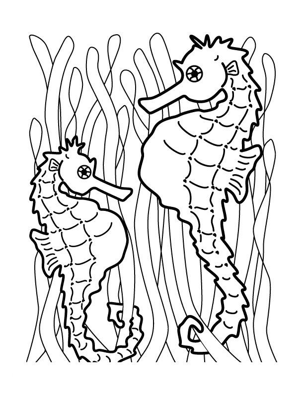 612x792 Free Printable Seahorse Coloring Pages For Kids