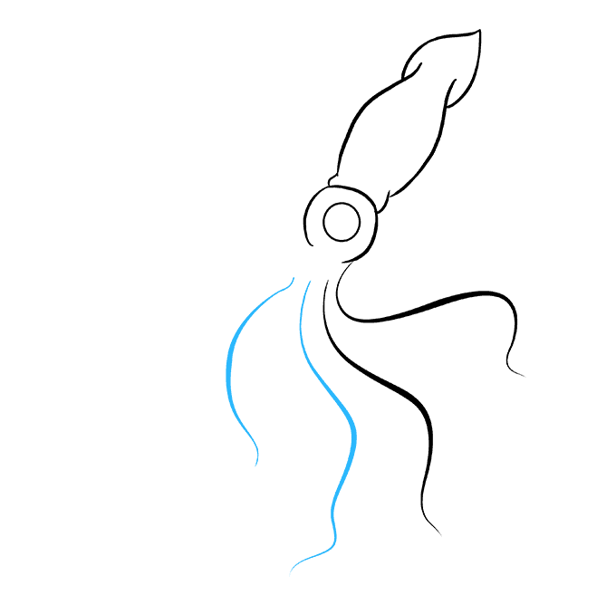 680x678 Drawing Seahorse Drawn Transparent Png Clipart Free Download