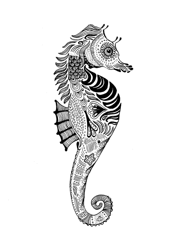 600x835 Paisley Seahorse