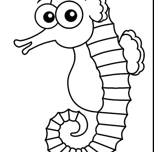 506x500 Sea Horse Coloring