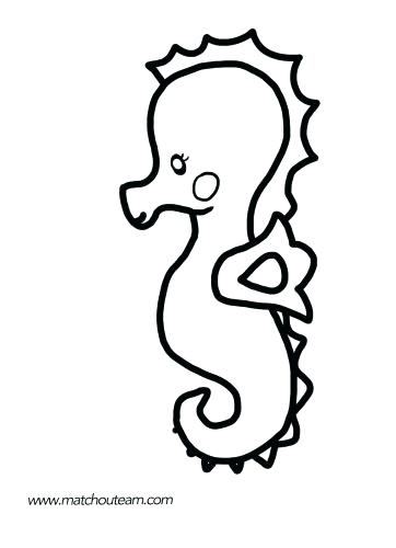 362x500 Seahorse Coloring