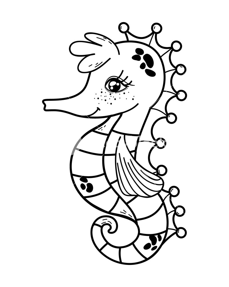 800x1000 Outline Cute Seahorse Tropical Sea Animal Vector Illustration