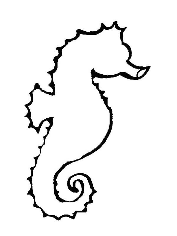 600x800 Clipart Seahorse