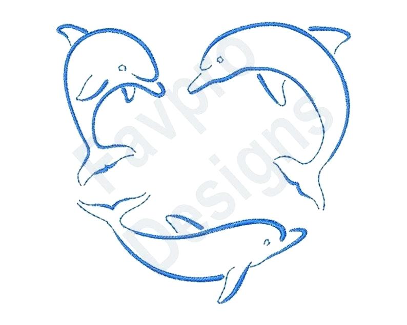794x635 Dolphin Outline Drawing Image Dolphin Outline Line Drawing
