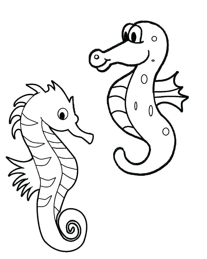 680x850 Sea Horse Coloring