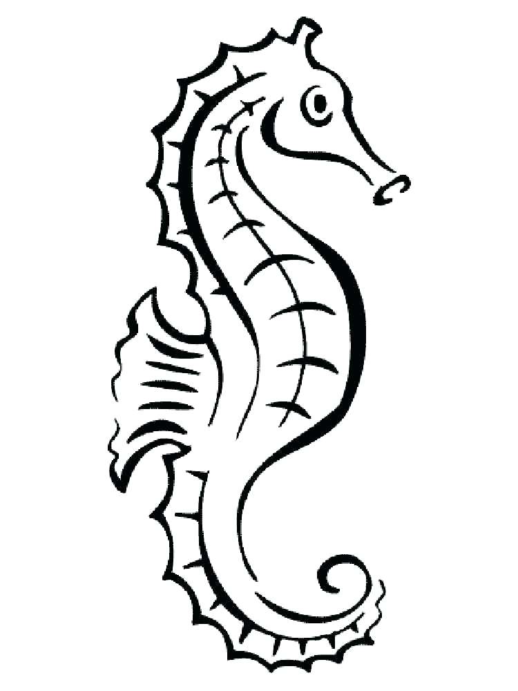 Seahorse Line Drawing | Free download on ClipArtMag