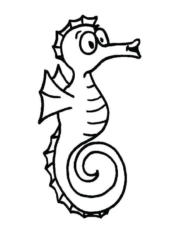 Seahorse Line Drawing | Free download on ClipArtMag