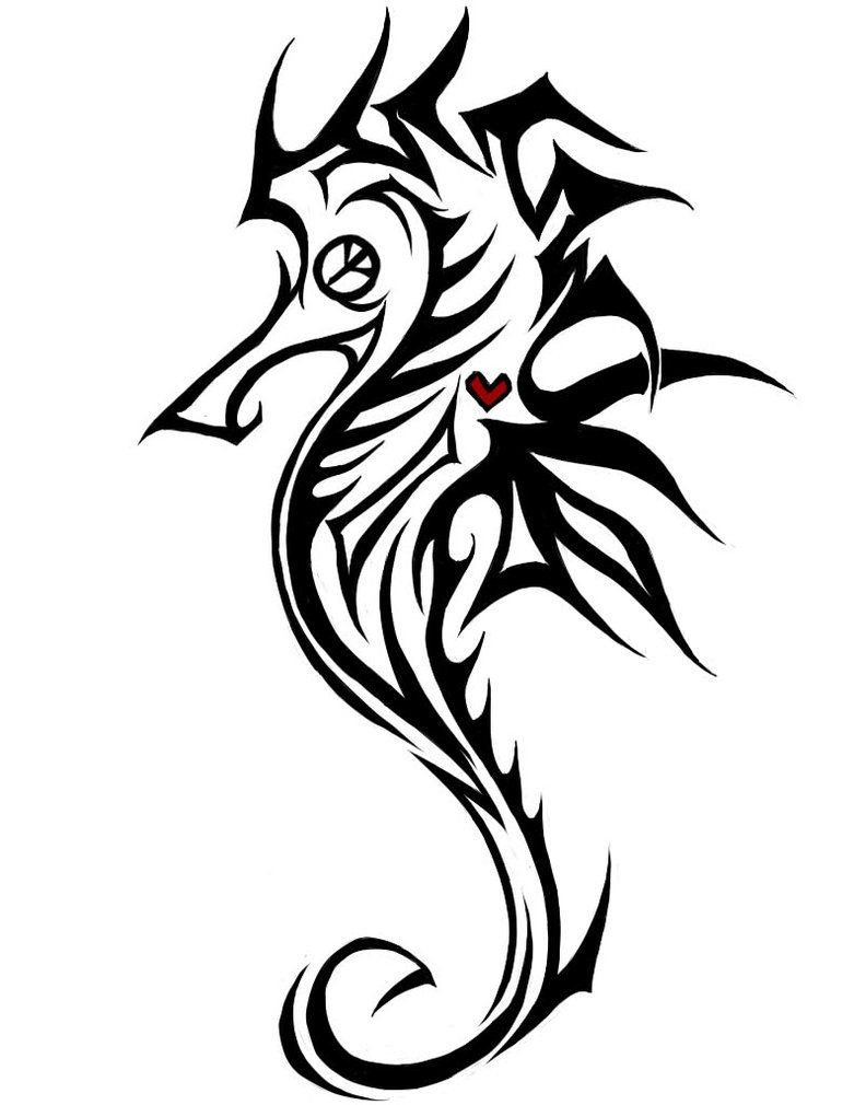 792x1010 seahorse drawing sketch new best seahorses to draw images