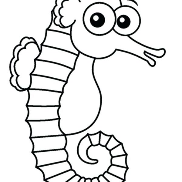 600x600 Seahorse Coloring