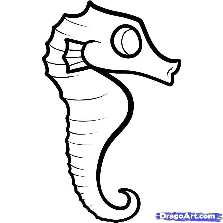 Seahorse Line Drawing | Free download on ClipArtMag