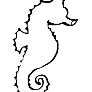 300x300 Seahorse Drawing Outline