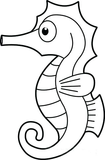 Seahorse Line Drawing | Free download on ClipArtMag