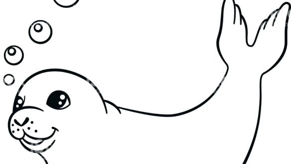 585x329 Leopard Coloring Pages Seal For Teens Klubfogyas