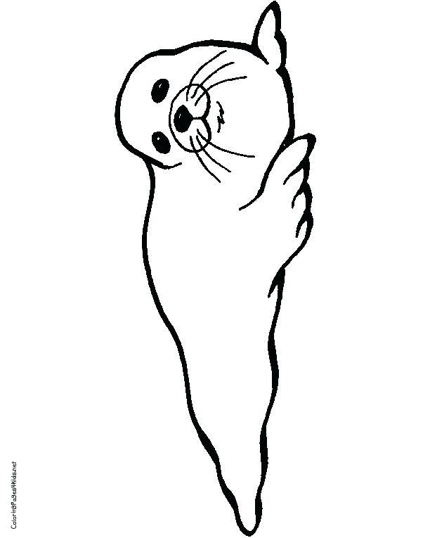 612x765 Seal Coloring Pages Cute Cartoon Baby How To Draw A Dra