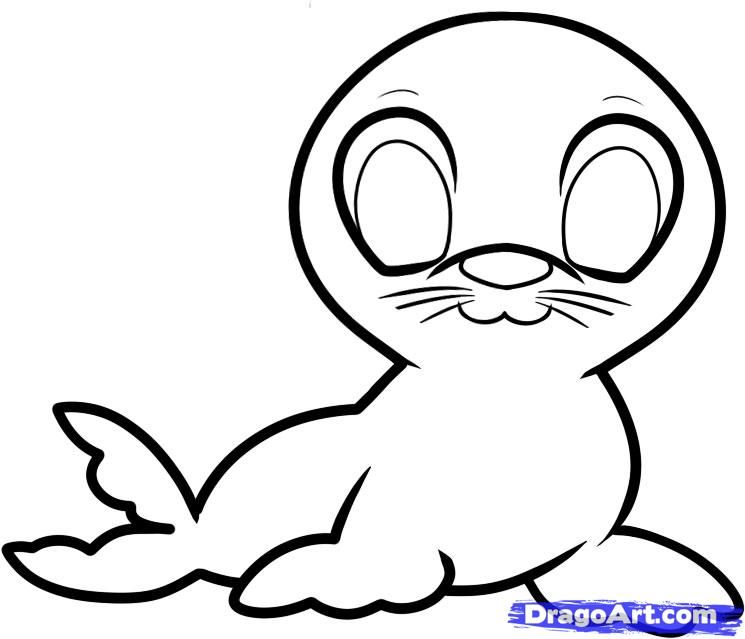 745x639 How To Draw A Seal For Kids Step Projects To Try Drawings