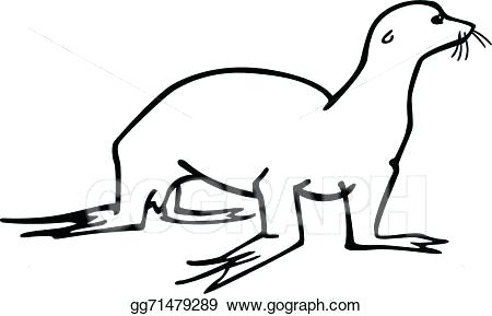 450x289 how to draw a sea lion draw seal draw simple sea lion