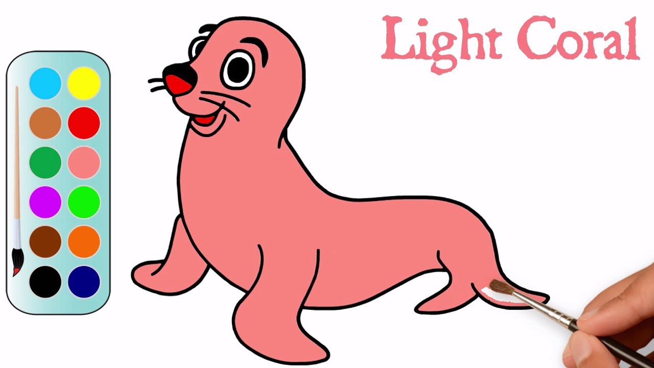 1280x720 How To Draw A Seal Drawing And Coloring A Seal Mhp Learning