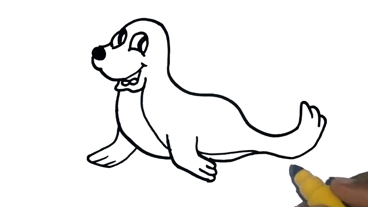 1280x720 Huge Collection Of 'seal Animal Drawing' Download More Than