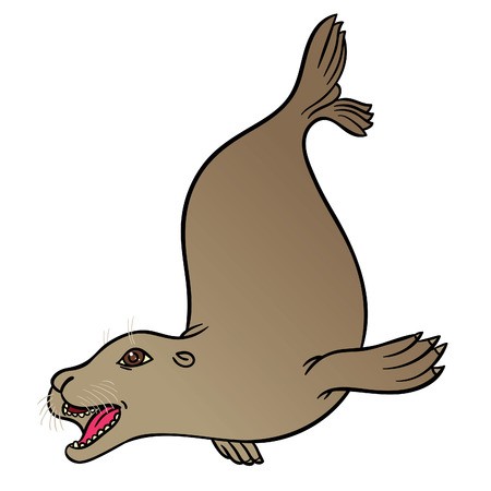 450x450 vector hand drawing eared seal