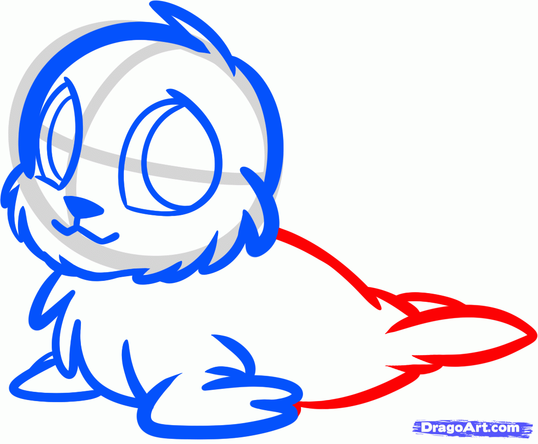 1051x868 How To Draw A Baby Seal, Baby Seal Pup, Step