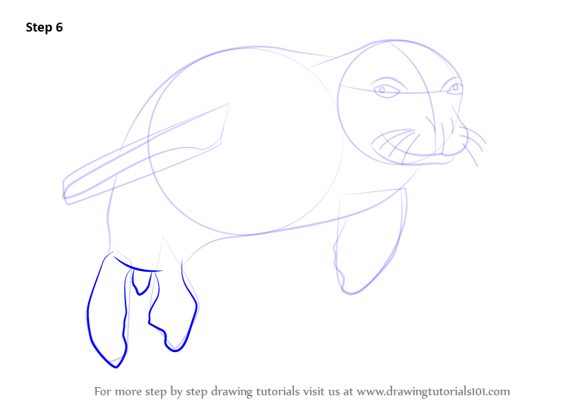 843x596 Learn How To Draw A Hawaiian Monk Seal