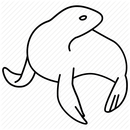 512x512 Collection Of Free Seal Drawing Line Art Download On Ui Ex