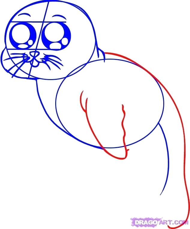 633x761 How To Draw Seal Draw A Picture Of Sea Life