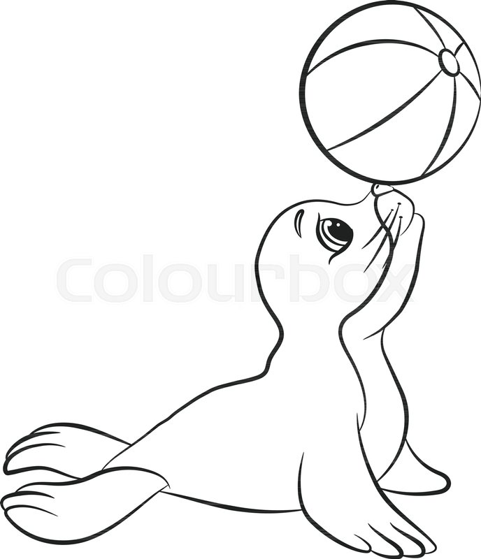 688x800 Seal Play With Ball Line Art Vector Stock Vector Colourbox