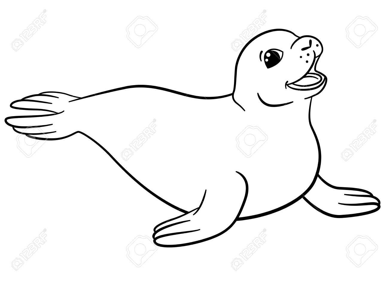 1300x971 Baby Seal Drawing
