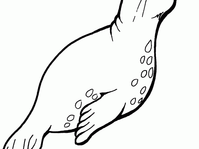 640x480 Seal Clipart Certificate Symbol Free Clip Art Stock