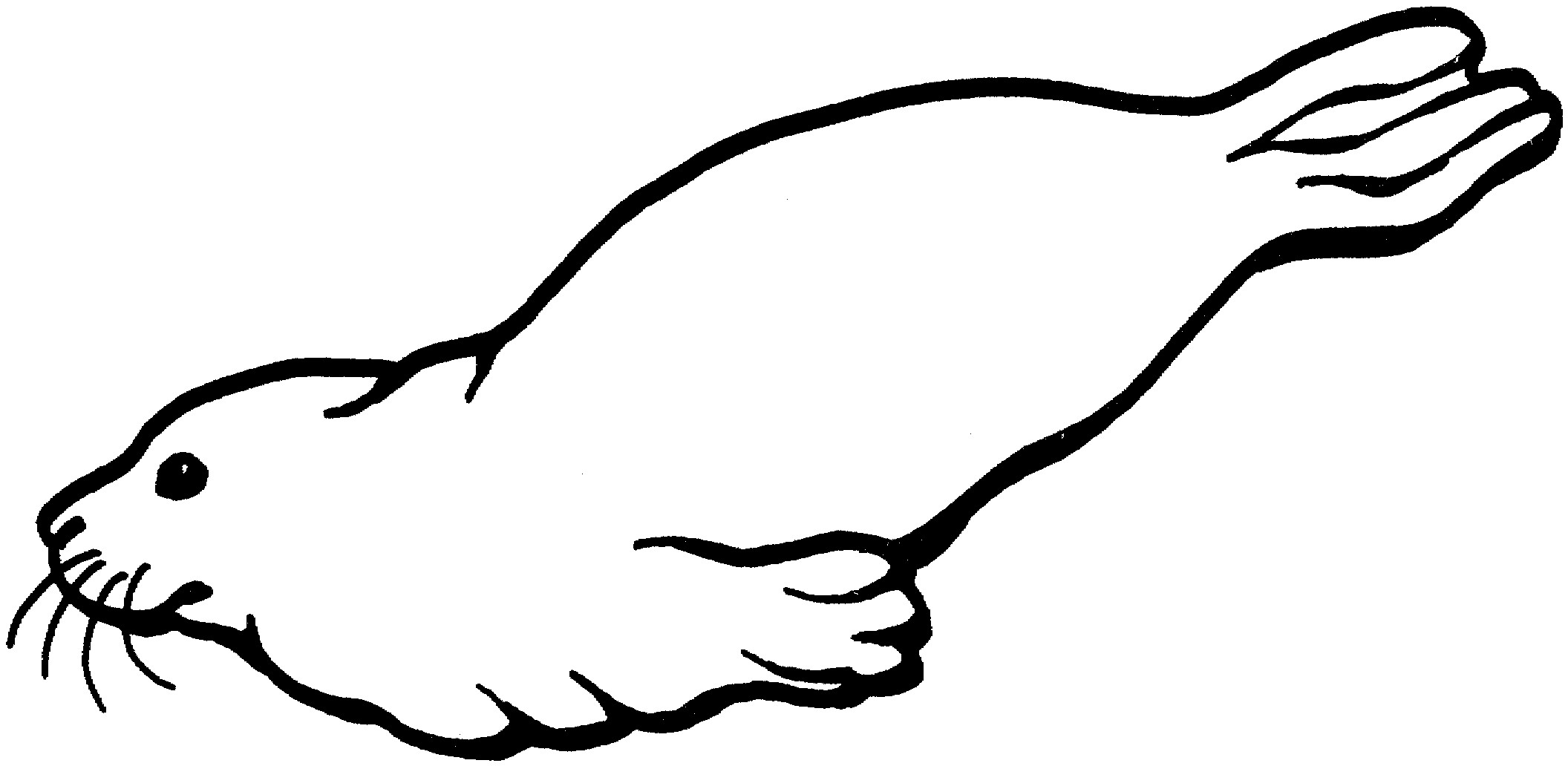 2112x1032 Seal Drawing Ross Seal For Free Download