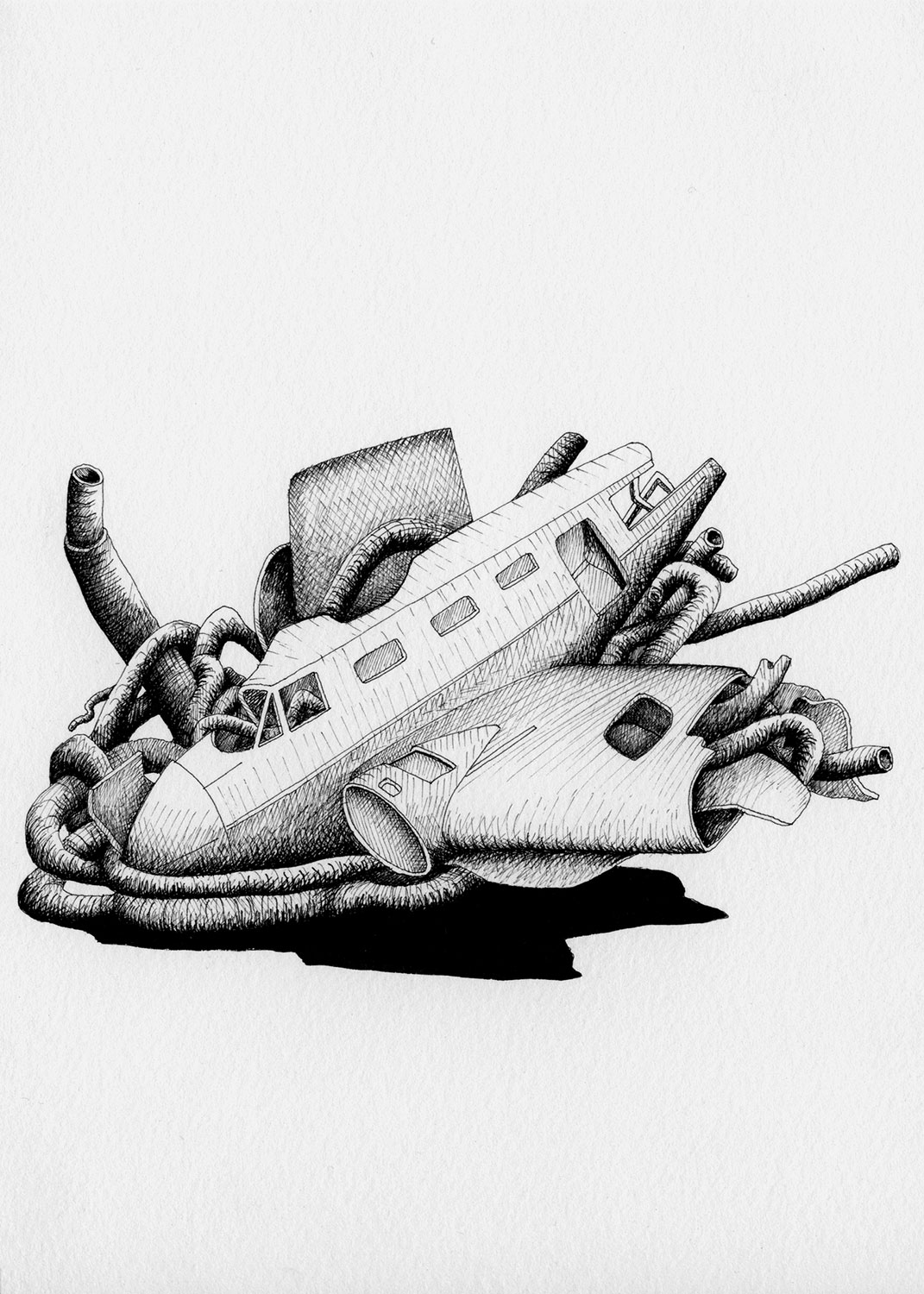 1071x1500 Thicket Drawings, Catarina