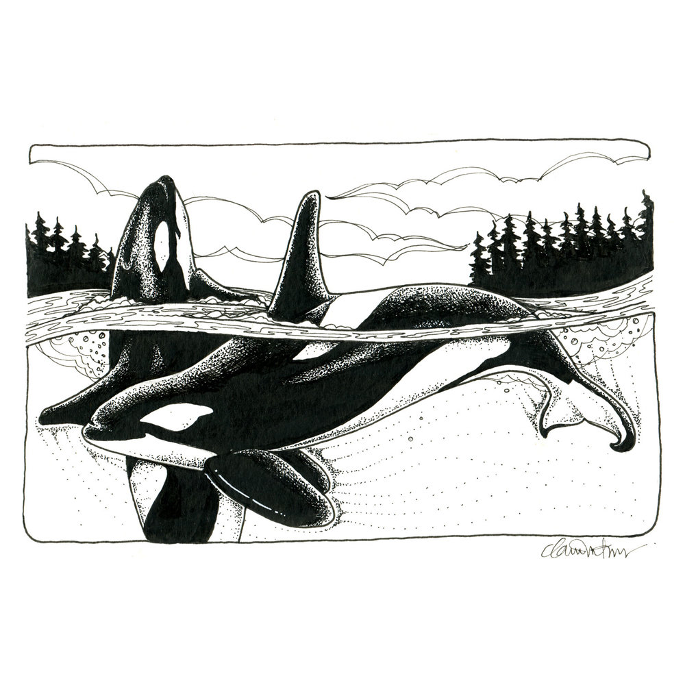 1000x1000 Drawings Claire Watson