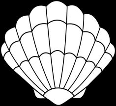 236x216 Best Seashell Drawings Images Paintings, Sea Shells, Shell