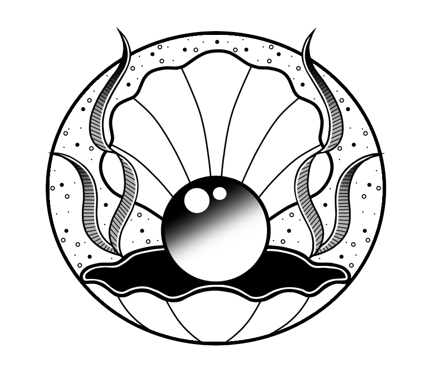 900x779 Drawing Shell Sketch Transparent Png Clipart Free Download