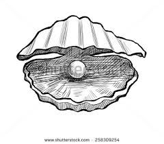 240x210 Image Result For Drawing Of Oyster With Pearl Coral Reef Shell