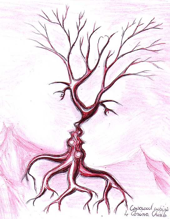 544x701 Seashell Pencil Drawing